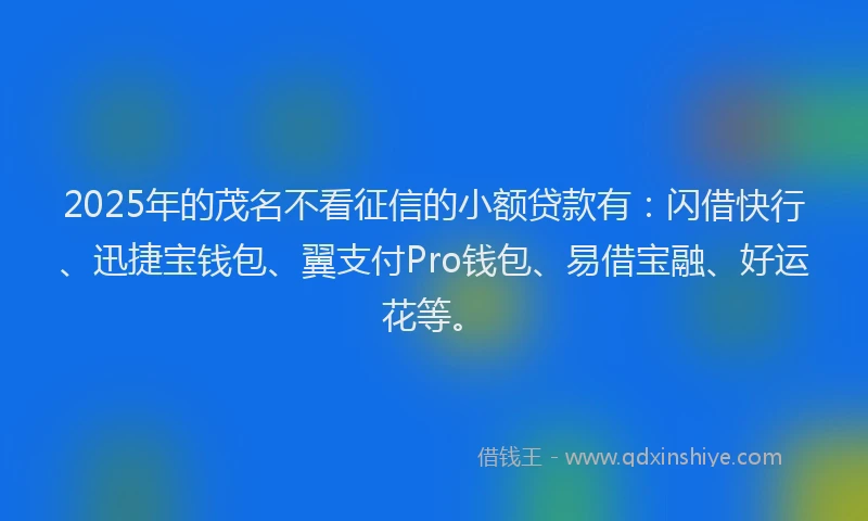 2025年的茂名不看征信的小额贷款有：闪借快行、迅捷宝钱包、翼支付Pro钱包、易借宝融、好运花等。