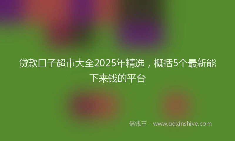 贷款口子超市大全2025年精选，概括5个最新能下来钱的平台