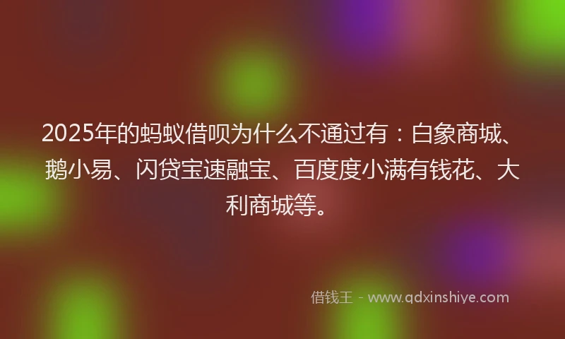 2025年的蚂蚁借呗为什么不通过有：白象商城、鹅小易、闪贷宝速融宝、百度度小满有钱花、大利商城等。