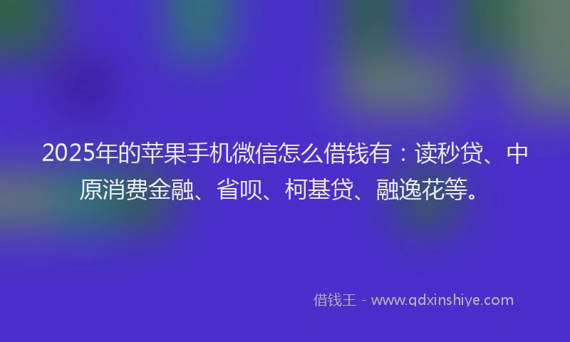 2025年的苹果手机微信怎么借钱有：读秒贷、中原消费金融、省呗、柯基贷、融逸花等。