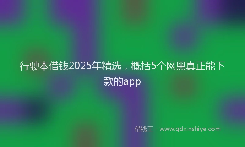 行驶本借钱2025年精选，概括5个网黑真正能下款的app