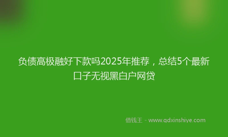 负债高极融好下款吗2025年推荐，总结5个最新口子无视黑白户网贷