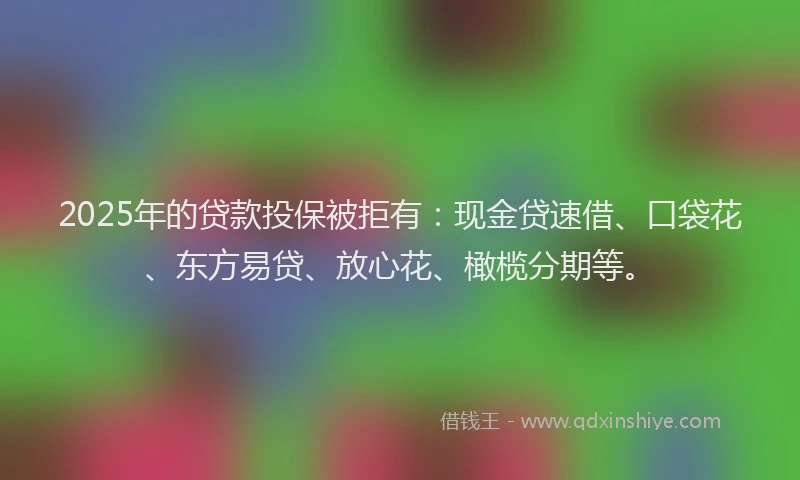 2025年的贷款投保被拒有：现金贷速借、口袋花、东方易贷、放心花、橄榄分期等。