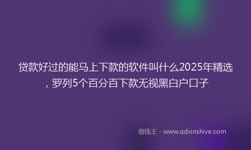 贷款好过的能马上下款的软件叫什么2025年精选，罗列5个百分百下款无视黑白户口子
