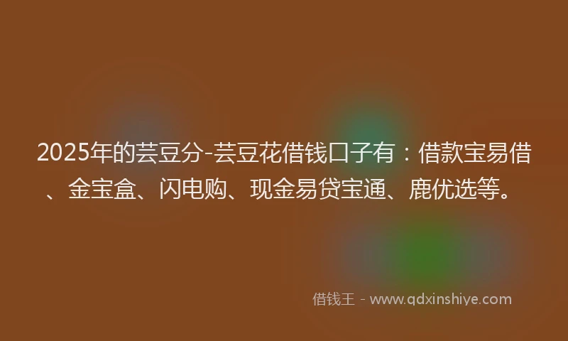 2025年的芸豆分-芸豆花借钱口子有：借款宝易借、金宝盒、闪电购、现金易贷宝通、鹿优选等。