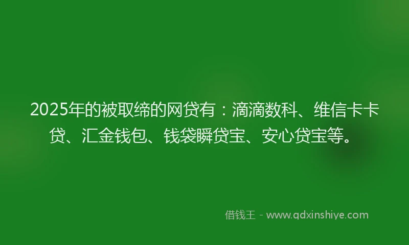 2025年的被取缔的网贷有：滴滴数科、维信卡卡贷、汇金钱包、钱袋瞬贷宝、安心贷宝等。