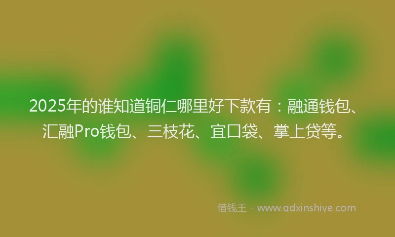2025年的谁知道铜仁哪里好下款有：融通钱包、汇融Pro钱包、三枝花、宜口袋、掌上贷等。