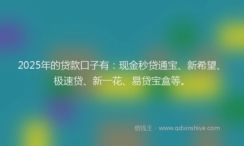 2025年的贷款口子有：现金秒贷通宝、新希望、极速贷、新一花、易贷宝盒等。