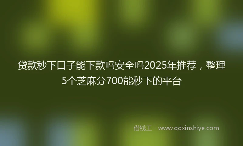 贷款秒下口子能下款吗安全吗2025年推荐，整理5个芝麻分700能秒下的平台