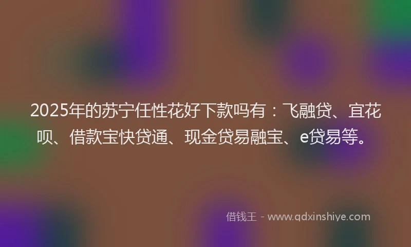 2025年的苏宁任性花好下款吗有：飞融贷、宜花呗、借款宝快贷通、现金贷易融宝、e贷易等。