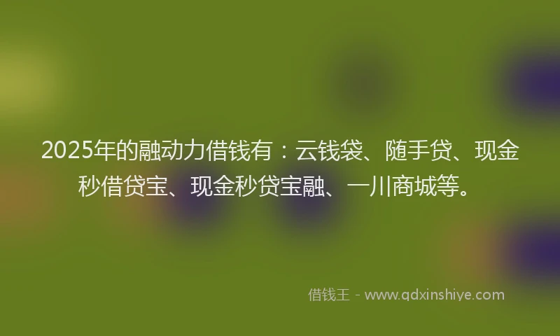 2025年的融动力借钱有：云钱袋、随手贷、现金秒借贷宝、现金秒贷宝融、一川商城等。