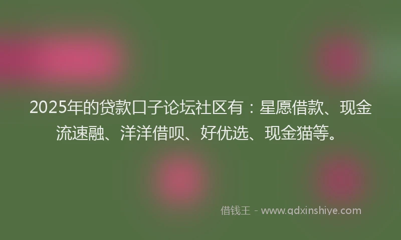 2025年的贷款口子论坛社区有：星愿借款、现金流速融、洋洋借呗、好优选、现金猫等。