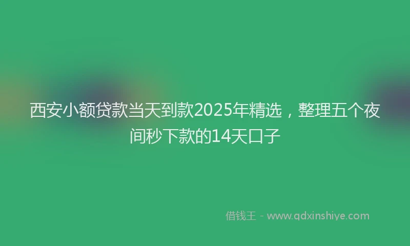 西安小额贷款当天到款2025年精选，整理五个夜间秒下款的14天口子