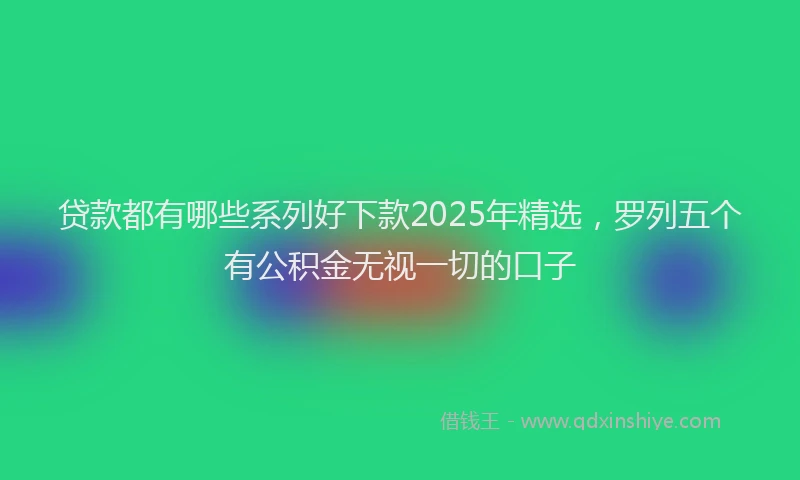 贷款都有哪些系列好下款2025年精选，罗列五个有公积金无视一切的口子