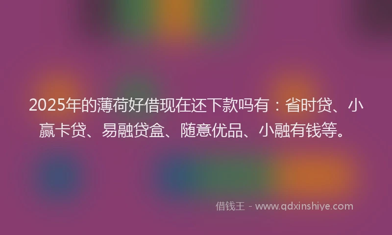 2025年的薄荷好借现在还下款吗有：省时贷、小赢卡贷、易融贷盒、随意优品、小融有钱等。