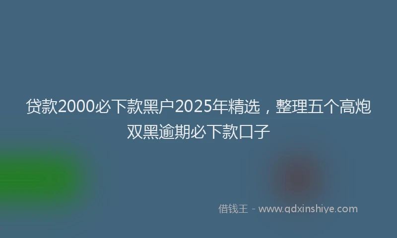 贷款2000必下款黑户2025年精选，整理五个高炮双黑逾期必下款口子