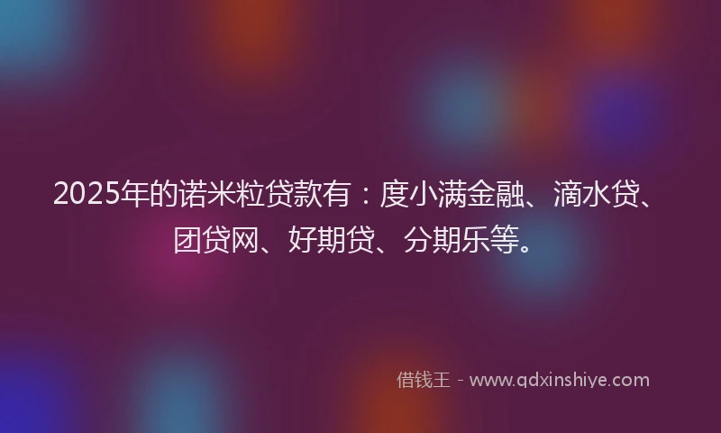 2025年的诺米粒贷款有：度小满金融、滴水贷、团贷网、好期贷、分期乐等。