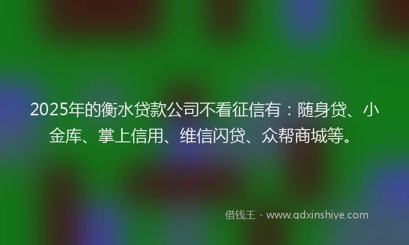 2025年的衡水贷款公司不看征信有：随身贷、小金库、掌上信用、维信闪贷、众帮商城等。