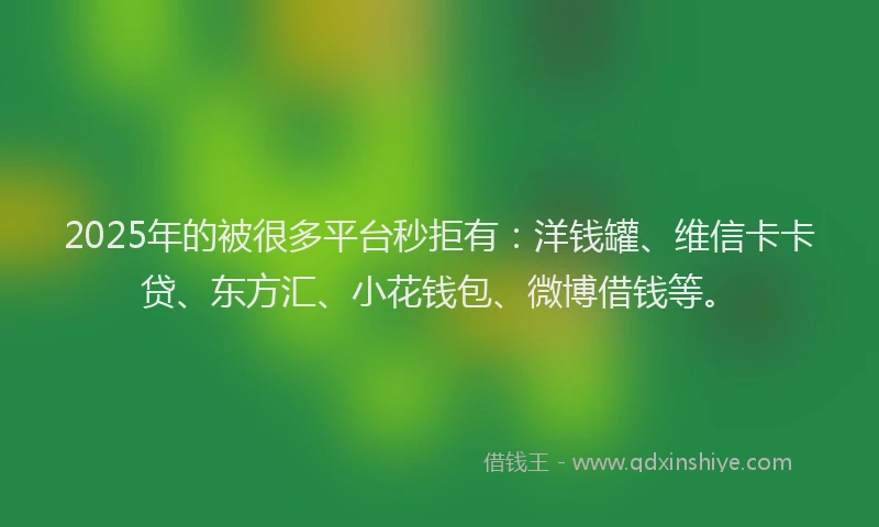 2025年的被很多平台秒拒有：洋钱罐、维信卡卡贷、东方汇、小花钱包、微博借钱等。