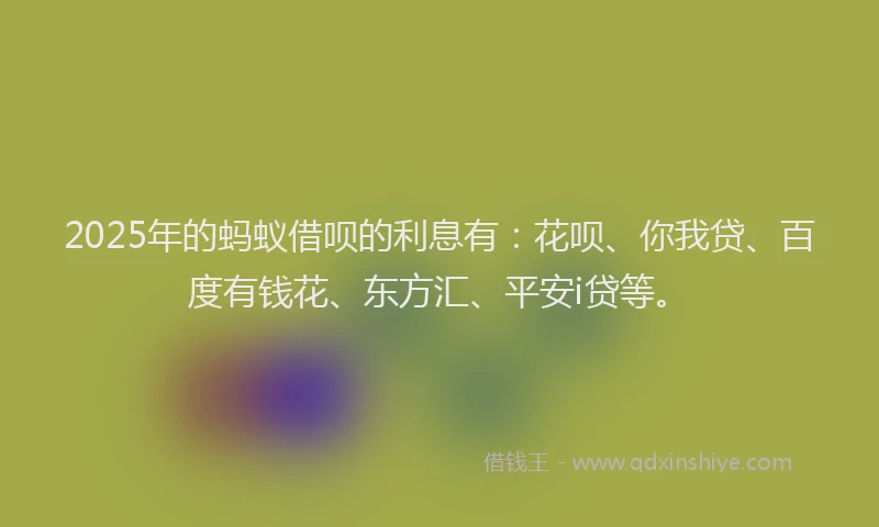 2025年的蚂蚁借呗的利息有：花呗、你我贷、百度有钱花、东方汇、平安i贷等。