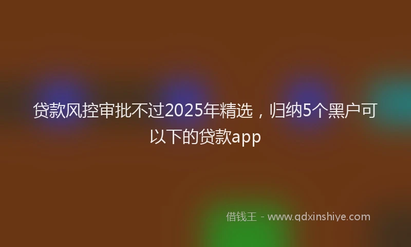 贷款风控审批不过2025年精选，归纳5个黑户可以下的贷款app