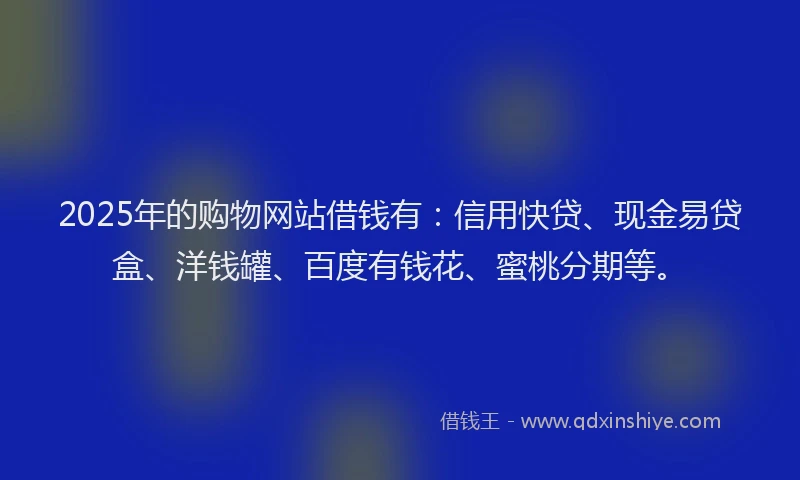 2025年的购物网站借钱有：信用快贷、现金易贷盒、洋钱罐、百度有钱花、蜜桃分期等。