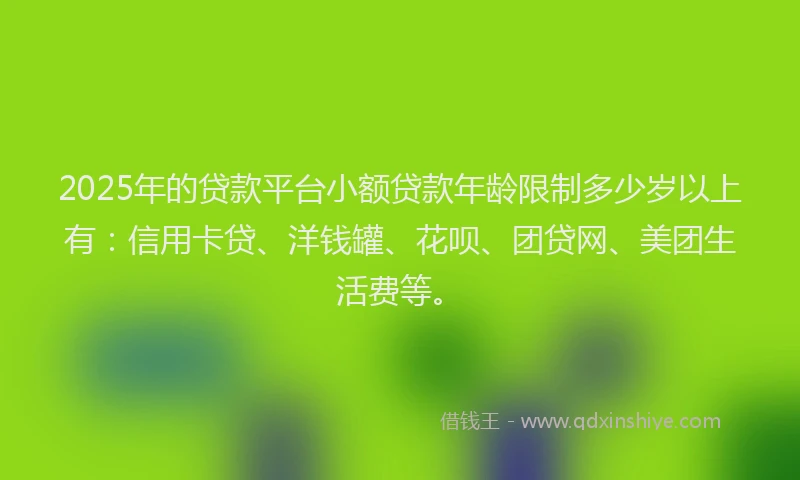 2025年的贷款平台小额贷款年龄限制多少岁以上有：信用卡贷、洋钱罐、花呗、团贷网、美团生活费等。