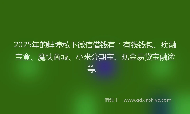 2025年的蚌埠私下微信借钱有：有钱钱包、疾融宝盒、魔快商城、小米分期宝、现金易贷宝融途等。