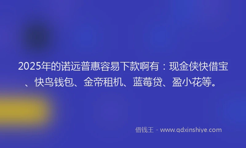 2025年的诺远普惠容易下款啊有：现金侠快借宝、快鸟钱包、金帝租机、蓝莓贷、盈小花等。