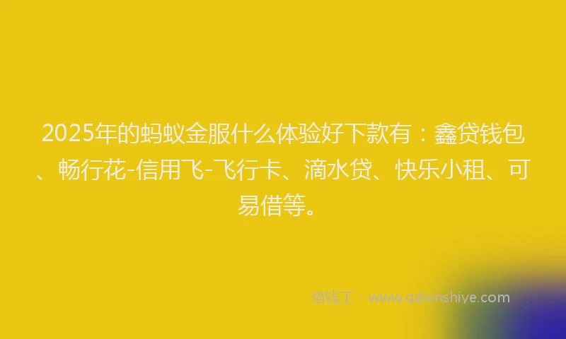 2025年的蚂蚁金服什么体验好下款有：鑫贷钱包、畅行花-信用飞-飞行卡、滴水贷、快乐小租、可易借等。