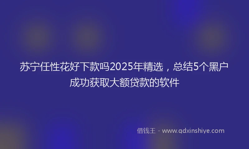苏宁任性花好下款吗2025年精选，总结5个黑户成功获取大额贷款的软件