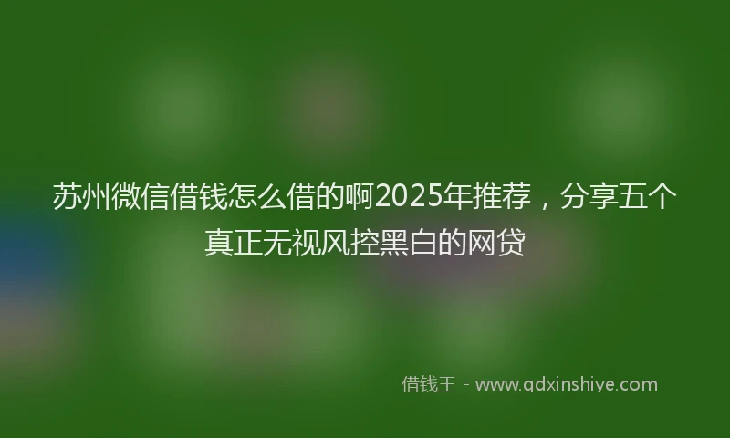 苏州微信借钱怎么借的啊2025年推荐，分享五个真正无视风控黑白的网贷