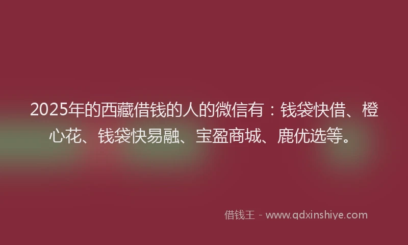 2025年的西藏借钱的人的微信有：钱袋快借、橙心花、钱袋快易融、宝盈商城、鹿优选等。