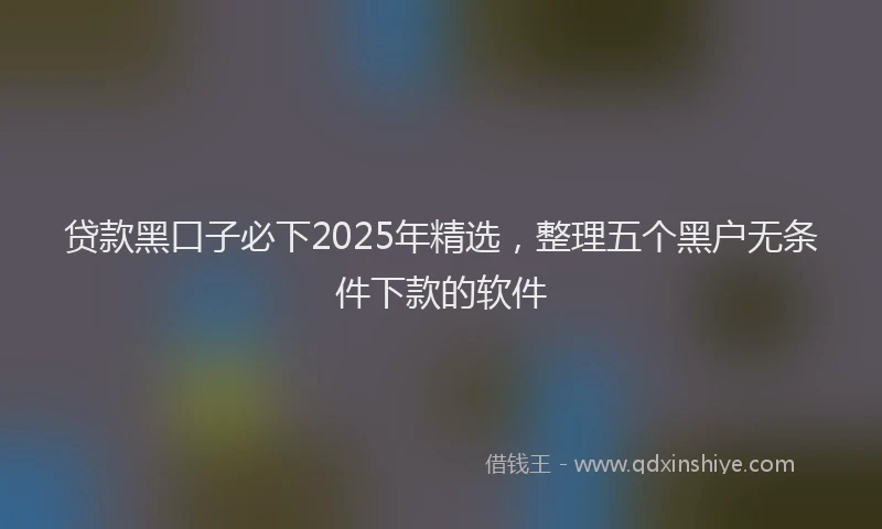 贷款黑口子必下2025年精选，整理五个黑户无条件下款的软件