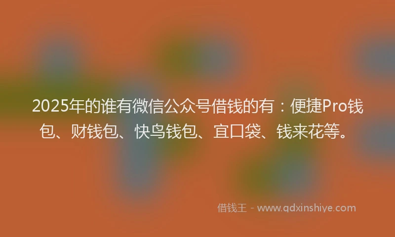 2025年的谁有微信公众号借钱的有：便捷Pro钱包、财钱包、快鸟钱包、宜口袋、钱来花等。