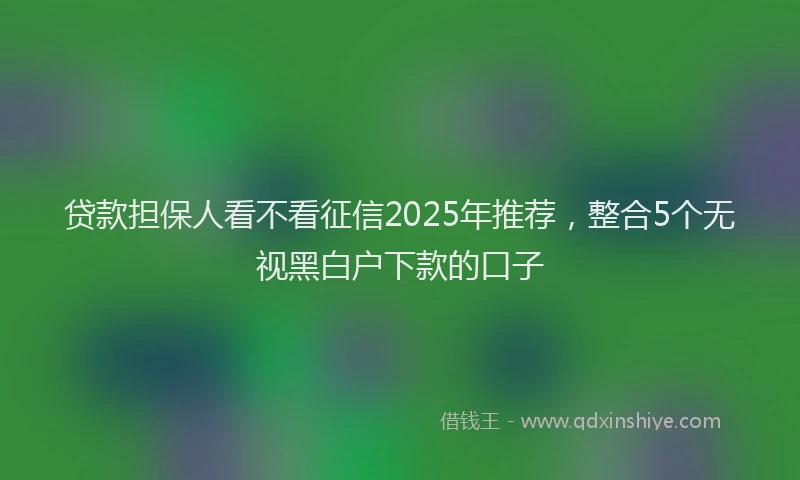 贷款担保人看不看征信2025年推荐，整合5个无视黑白户下款的口子