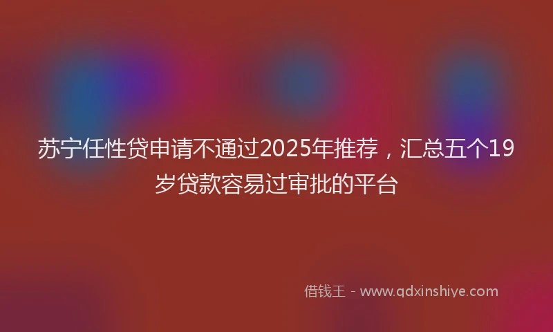 苏宁任性贷申请不通过2025年推荐，汇总五个19岁贷款容易过审批的平台