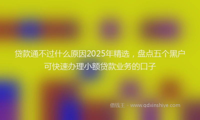贷款通不过什么原因2025年精选，盘点五个黑户可快速办理小额贷款业务的口子