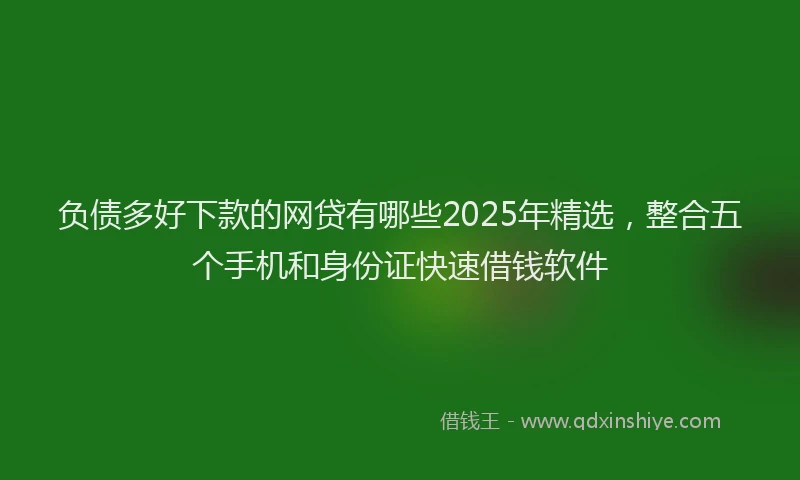 负债多好下款的网贷有哪些2025年精选，整合五个手机和身份证快速借钱软件