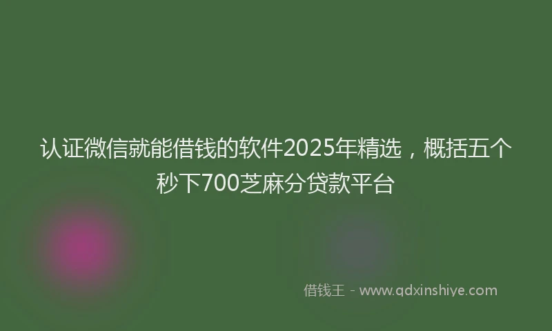 认证微信就能借钱的软件2025年精选，概括五个秒下700芝麻分贷款平台