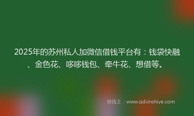 2025年的苏州私人加微信借钱平台有：钱袋快融、金色花、哆哆钱包、牵牛花、想借等。