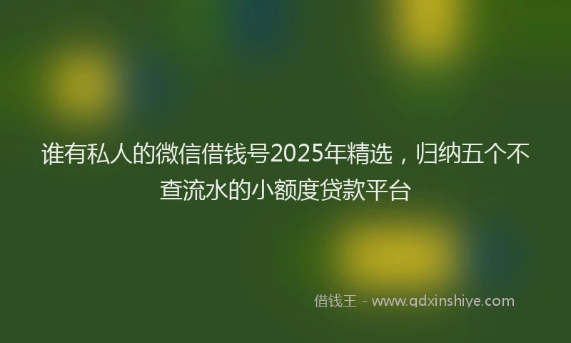 谁有私人的微信借钱号2025年精选，归纳五个不查流水的小额度贷款平台