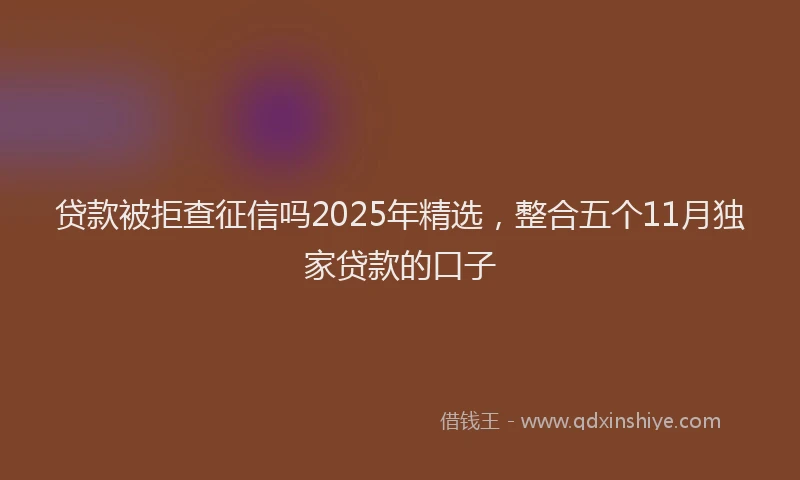 贷款被拒查征信吗2025年精选，整合五个11月独家贷款的口子