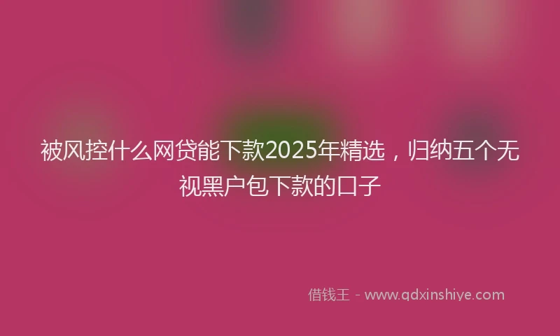被风控什么网贷能下款2025年精选，归纳五个无视黑户包下款的口子