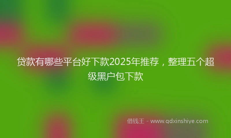 贷款有哪些平台好下款2025年推荐，整理五个超级黑户包下款
