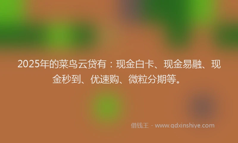 2025年的菜鸟云贷有：现金白卡、现金易融、现金秒到、优速购、微粒分期等。
