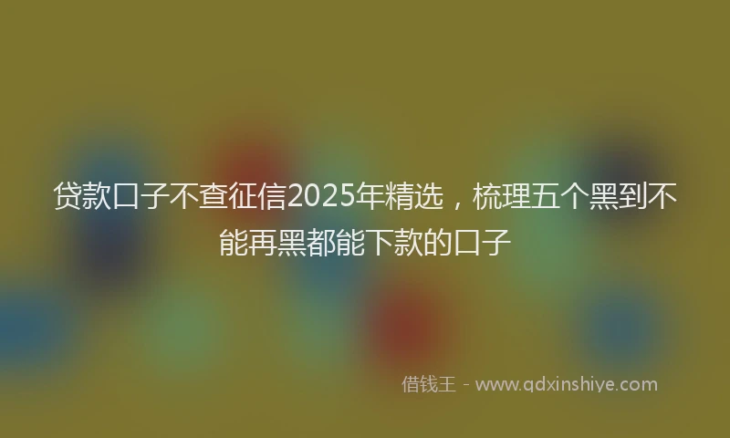 贷款口子不查征信2025年精选，梳理五个黑到不能再黑都能下款的口子