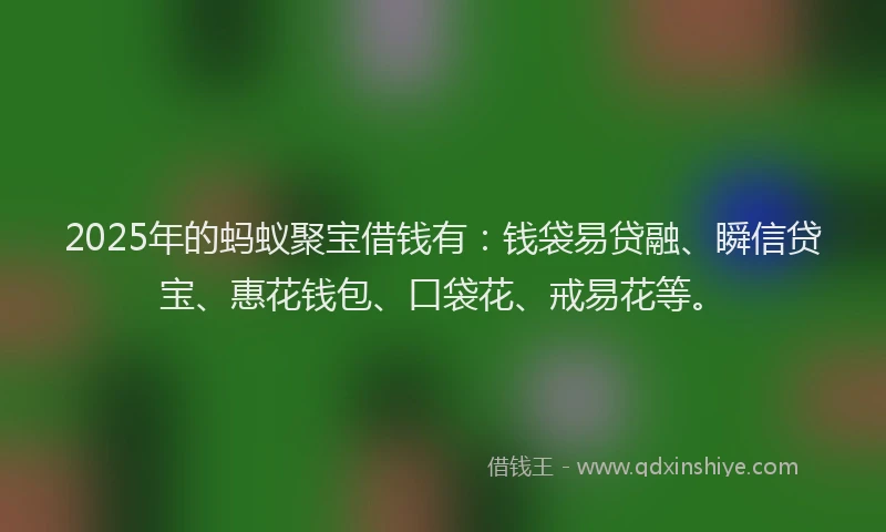 2025年的蚂蚁聚宝借钱有：钱袋易贷融、瞬信贷宝、惠花钱包、口袋花、戒易花等。