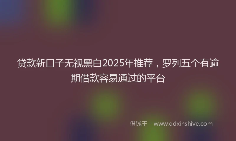 贷款新口子无视黑白2025年推荐，罗列五个有逾期借款容易通过的平台