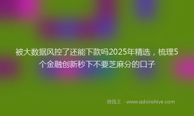 被大数据风控了还能下款吗2025年精选，梳理5个金融创新秒下不要芝麻分的口子